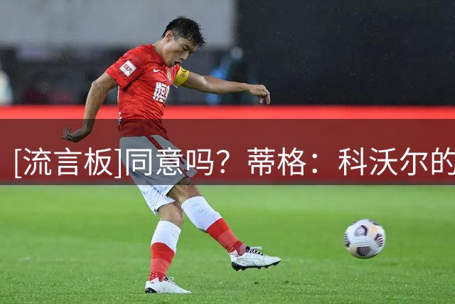 [流言板]同意吗？蒂格：科沃尔的投篮能力比雷吉-米勒更强
